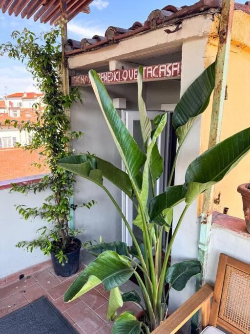 Apartment Green Rooftop Terrace Historical Center Florence