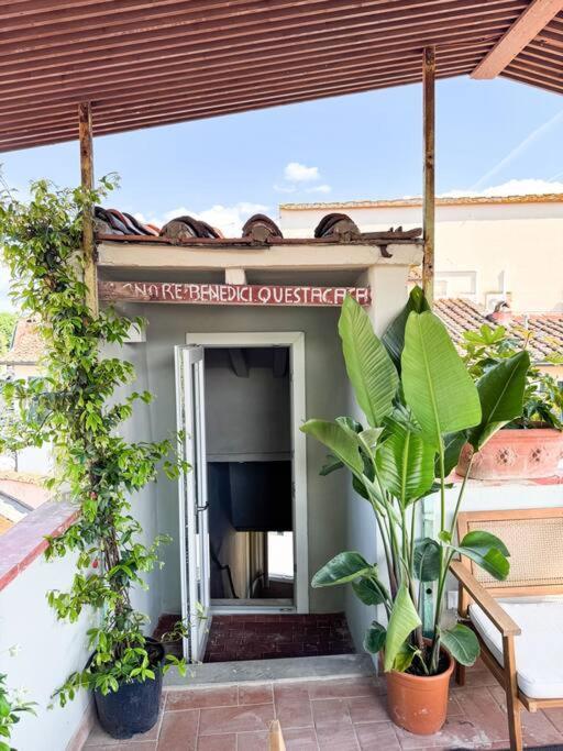 Green Rooftop Terrace Historical Center Florence