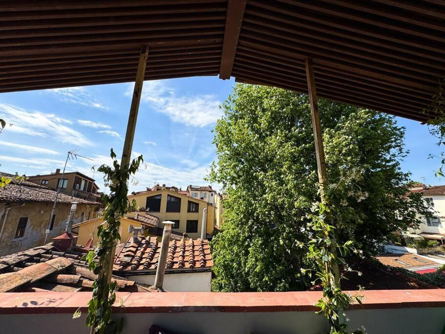 Green Rooftop Terrace Historical Center