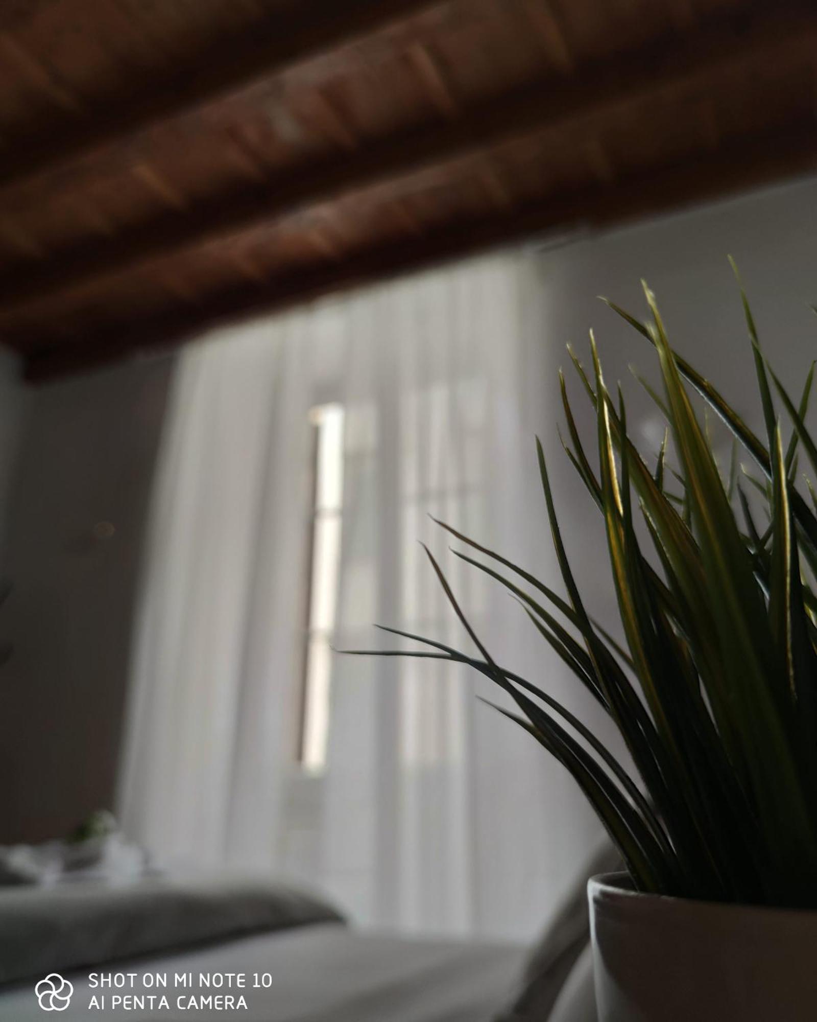 Dante's Relais Affittacamere