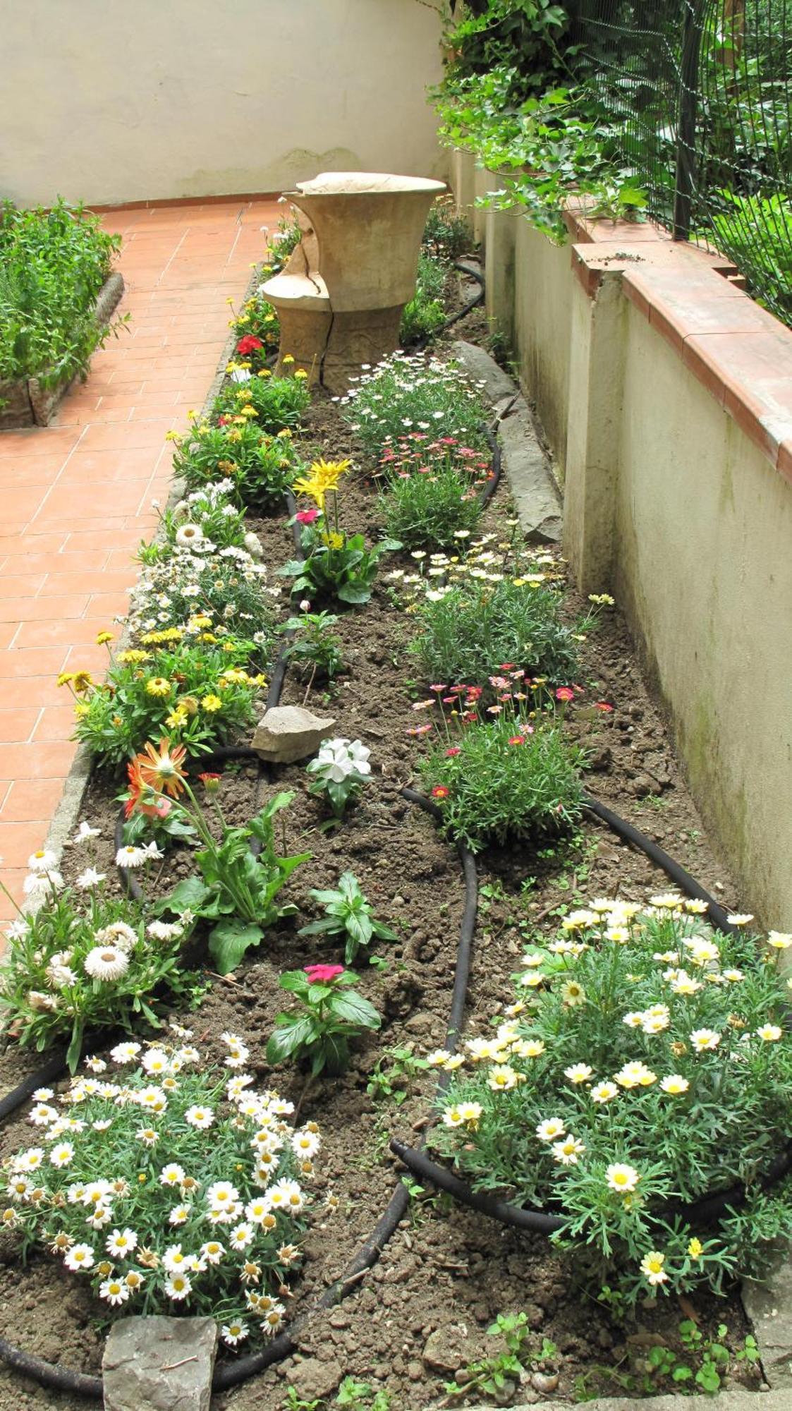 Apartment Le Petit Jardin Center