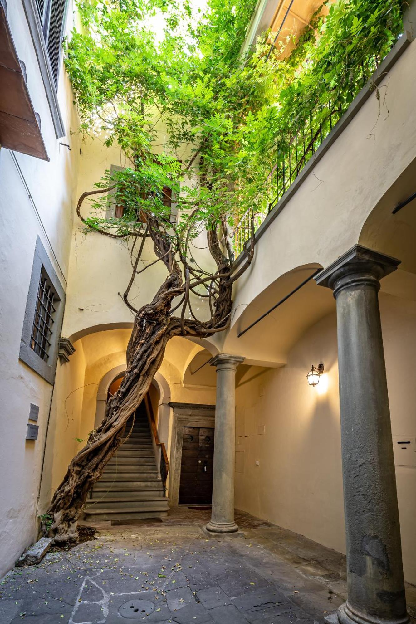 Yd Corte Al Duomo Firenze