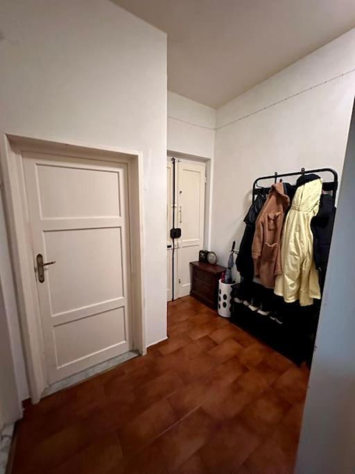 Comfortable In A Pet-friendly Apartment