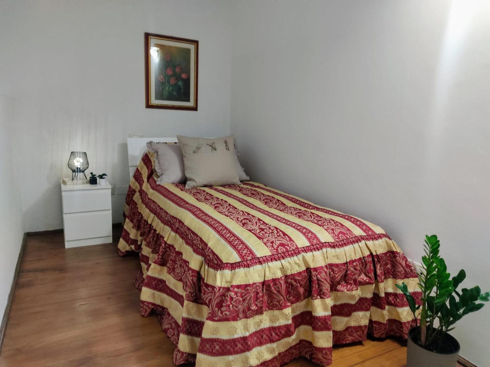 Arno D' Argento Apartment Florence