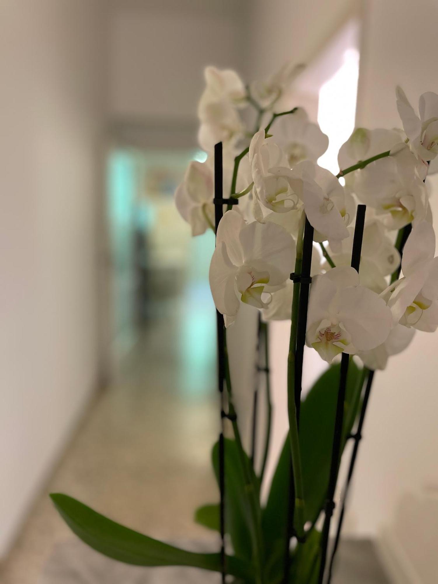 Ruote Family Appartamento Firenze