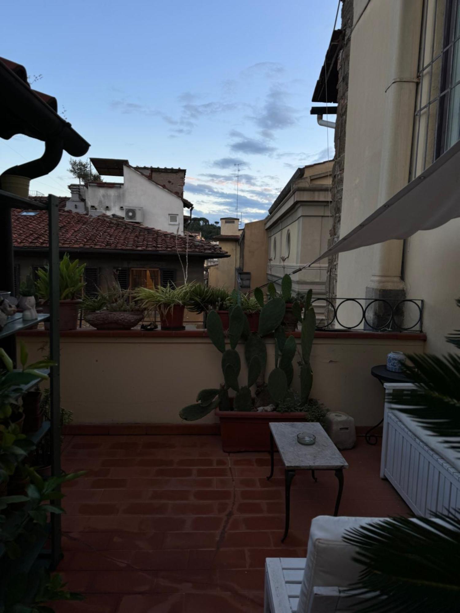 Panorama & Terrace Apartment