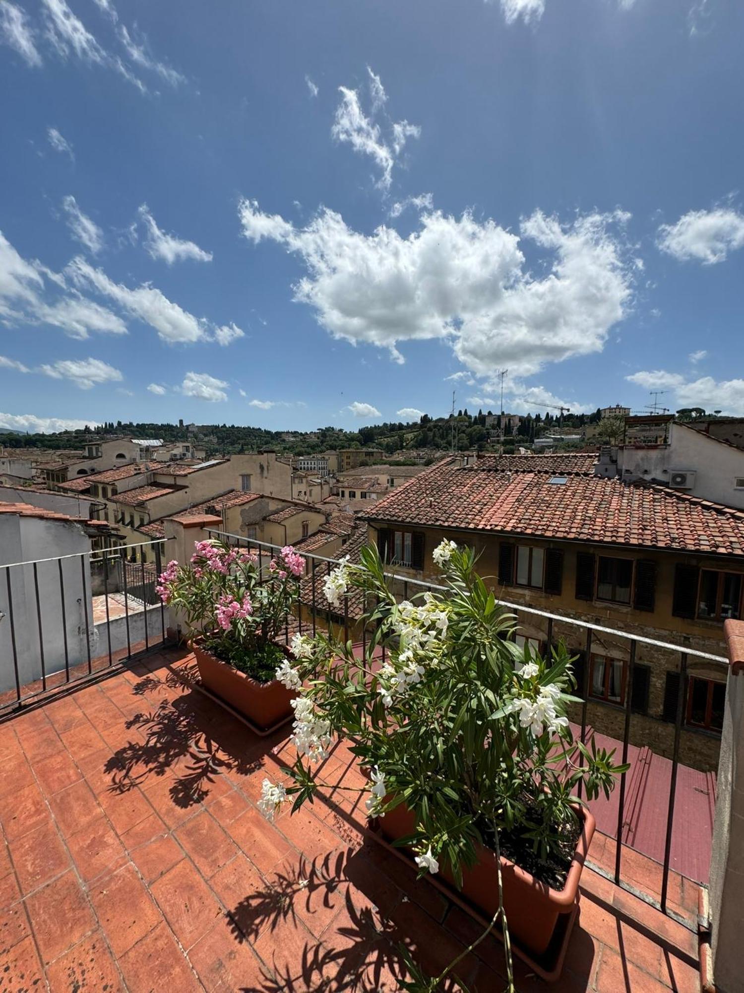 Apartment Panorama & Terrace Florence