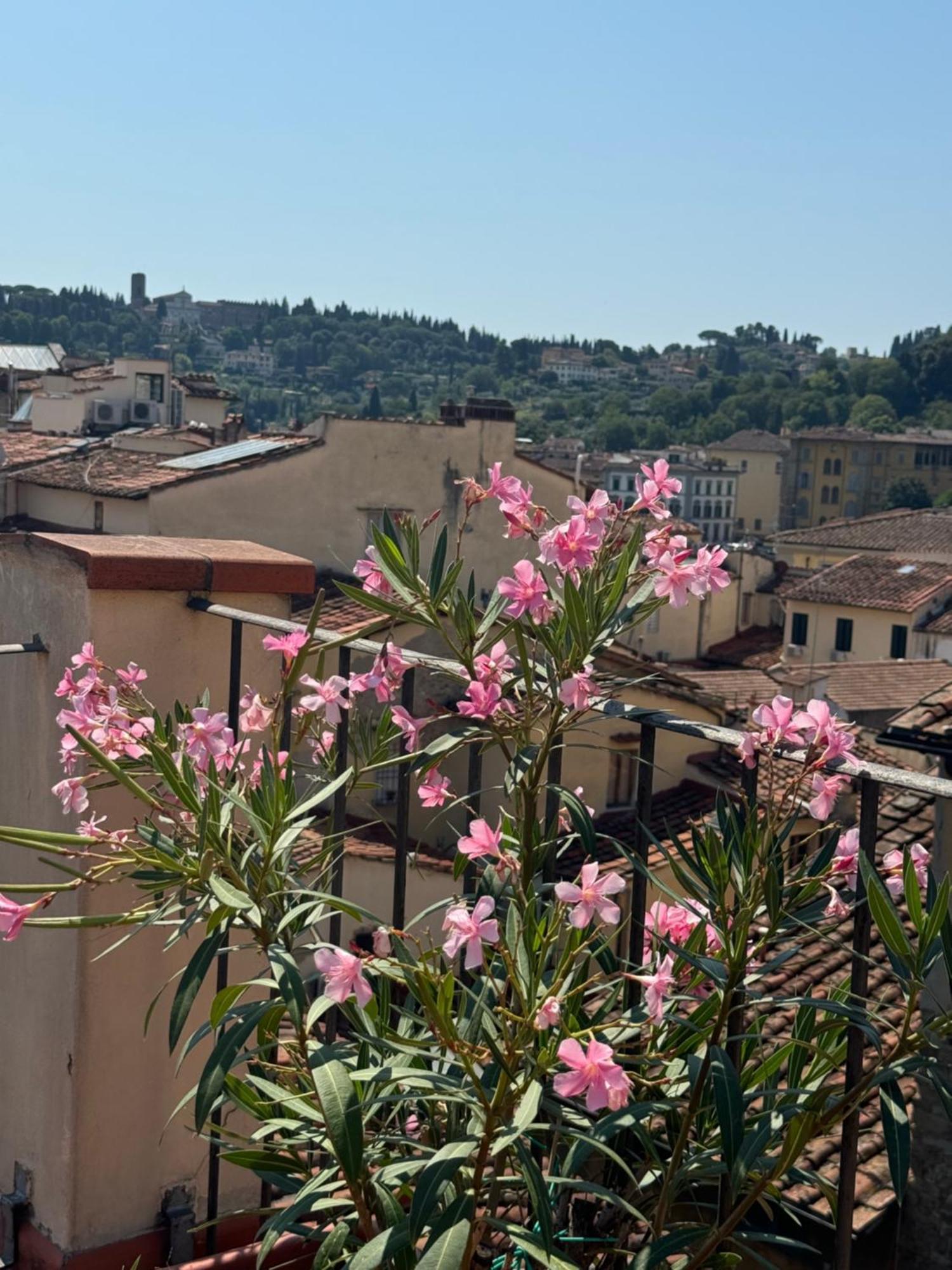 Apartment Panorama & Terrace *