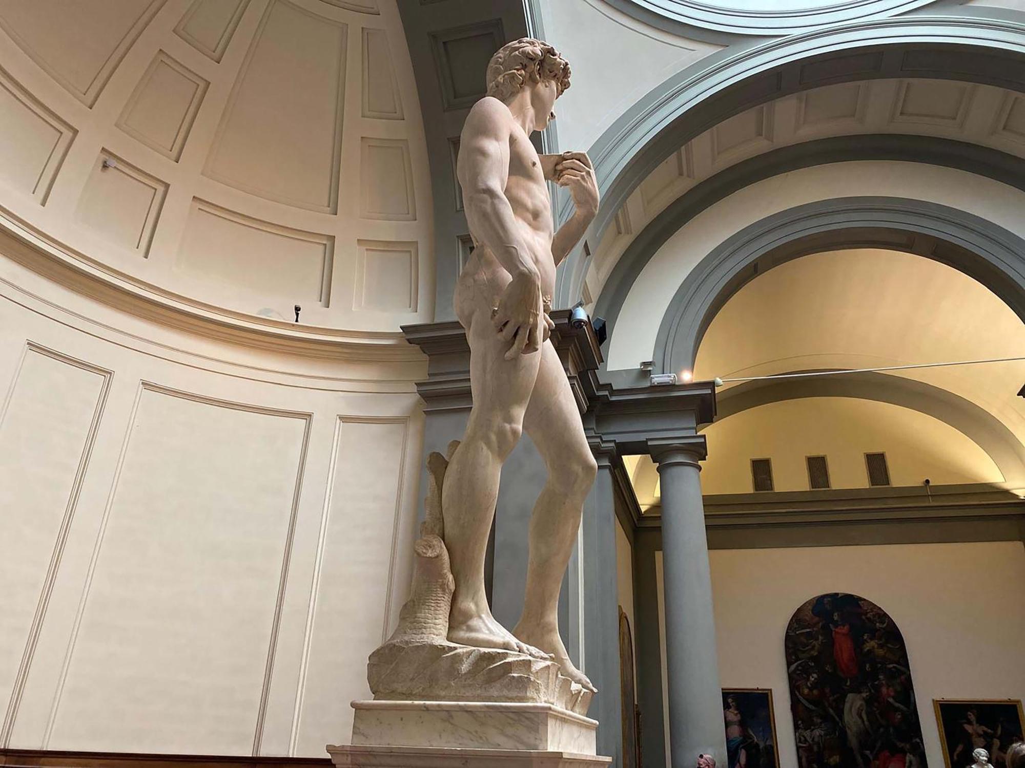 David - Michelangelo Apartment Florence