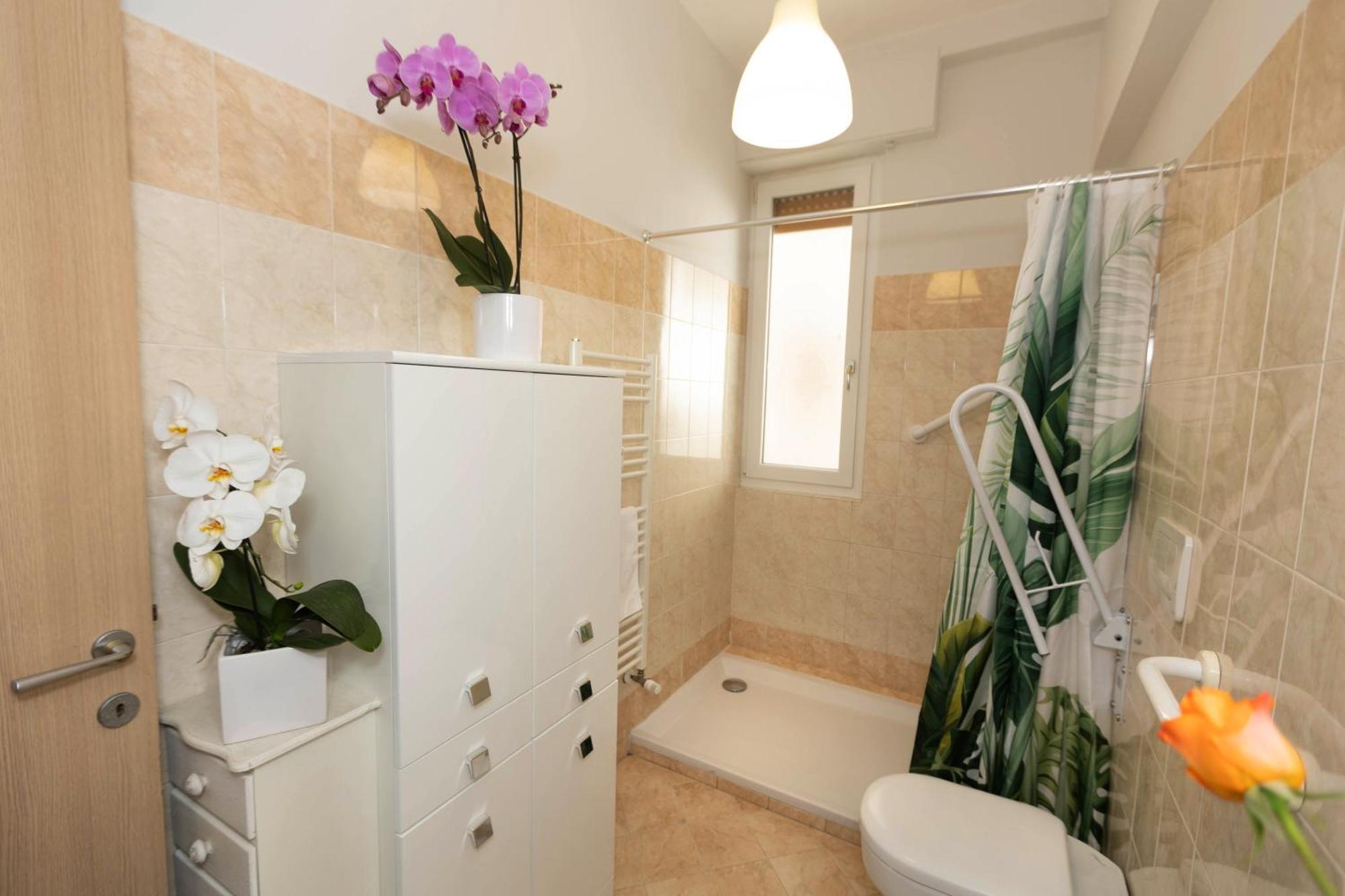 Apartment Oasis *