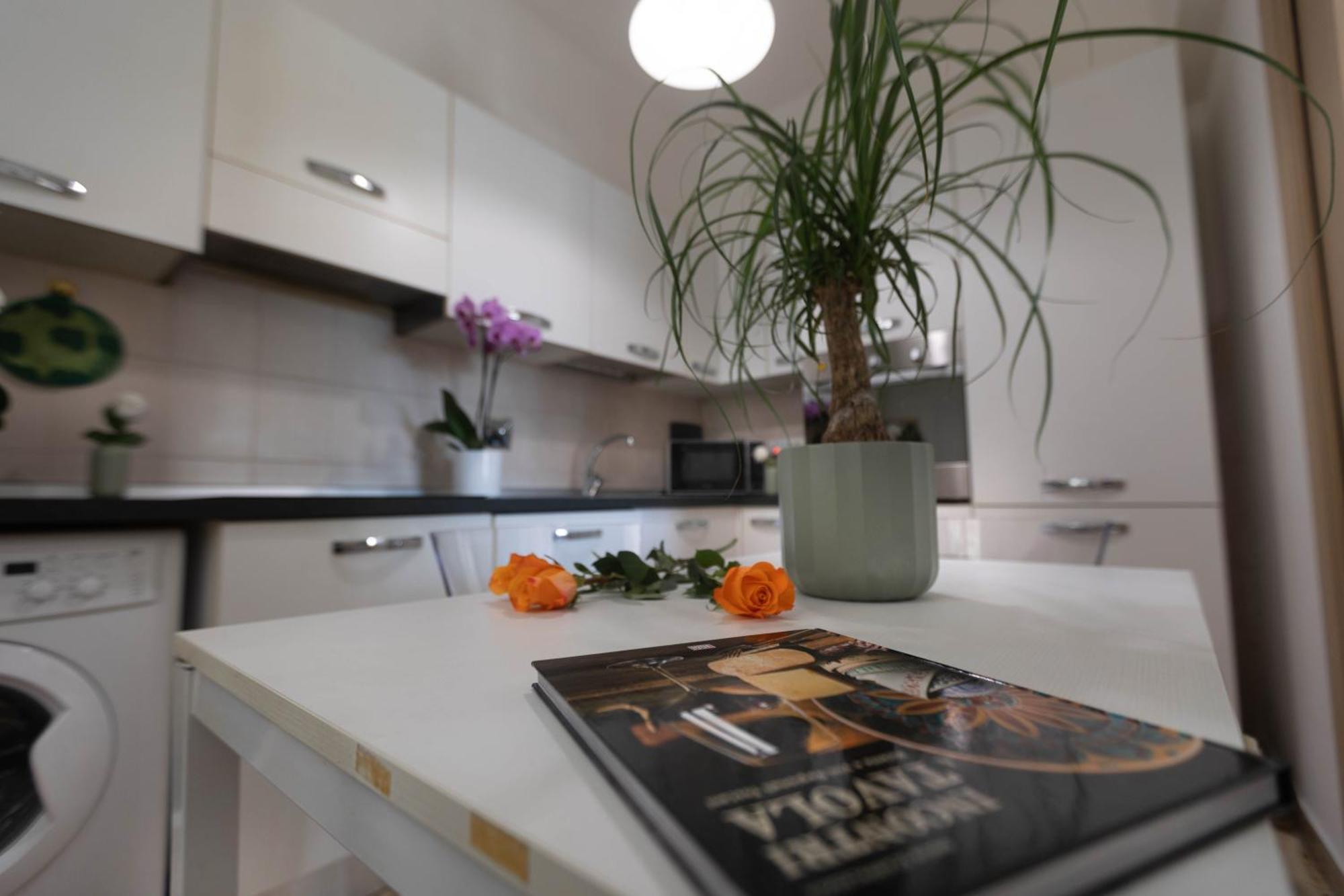 Oasis Apartment *