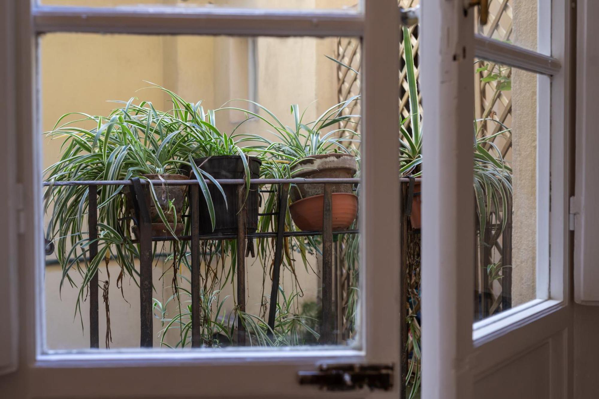 Sant'antonino Cozy Corner Appartamento