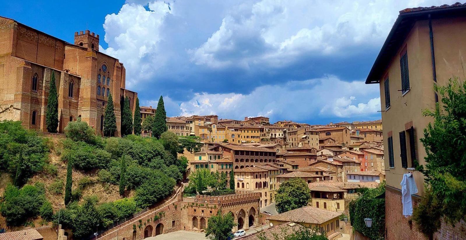 Leone * Florence