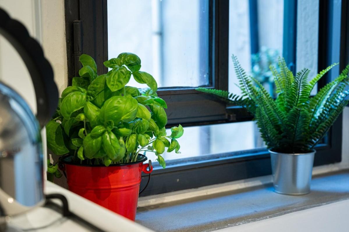 Sprone 13 Apartment