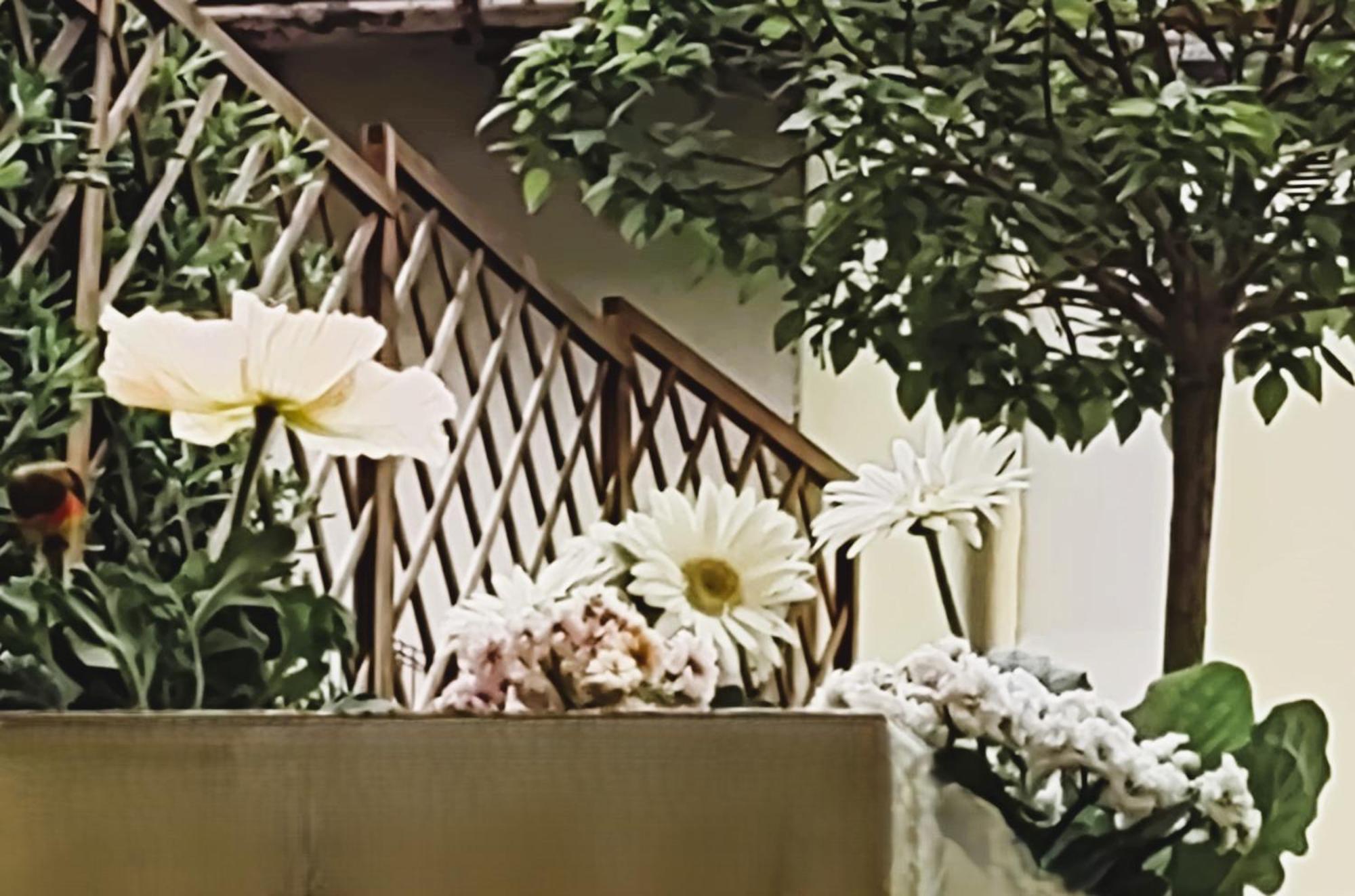 Movie Star With Garden Apartment