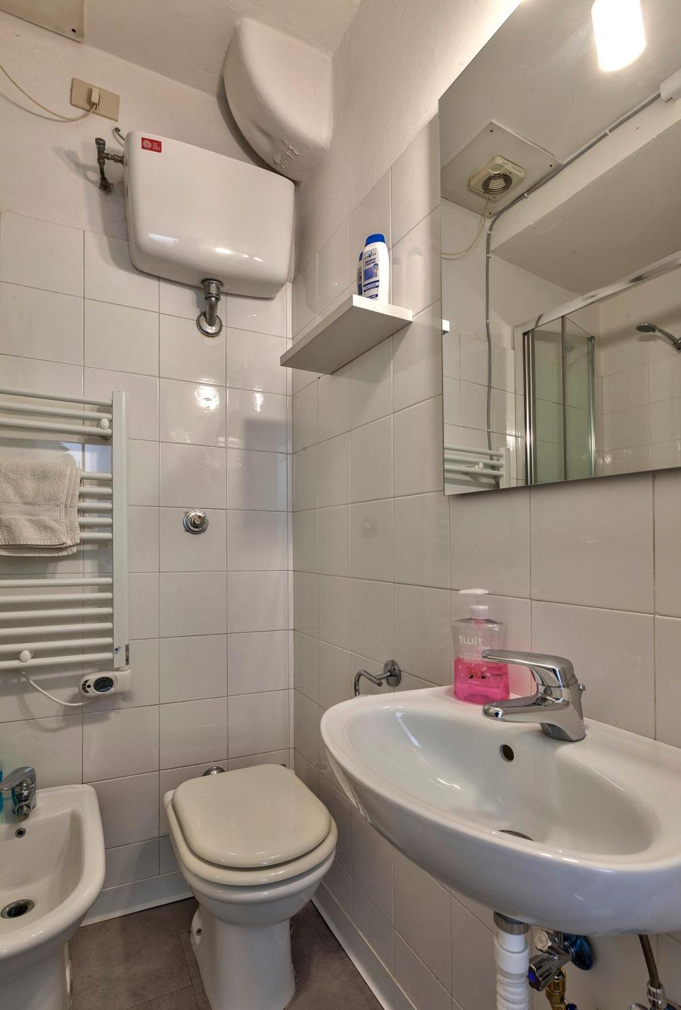 Santo Spirito Apartment Florence