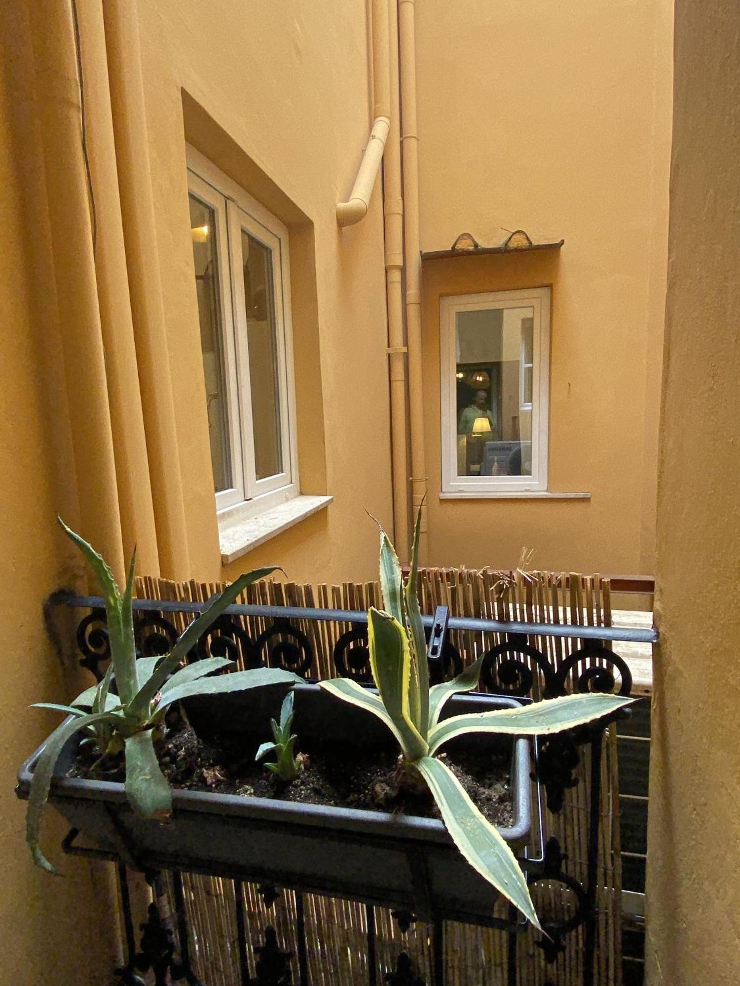 San Lorenzo For Foodies Apartment *