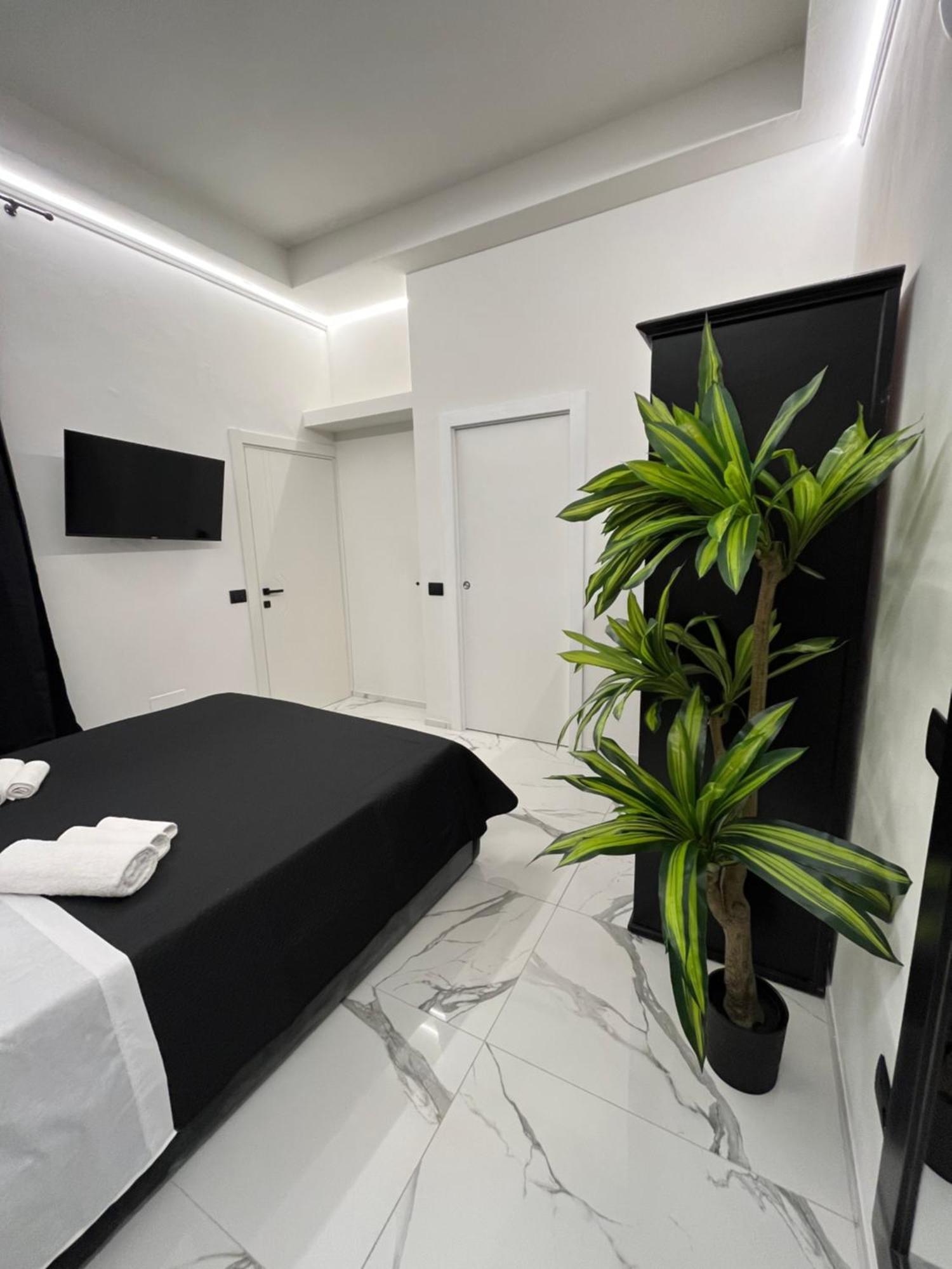 - Ghibellina 92 Apartment *