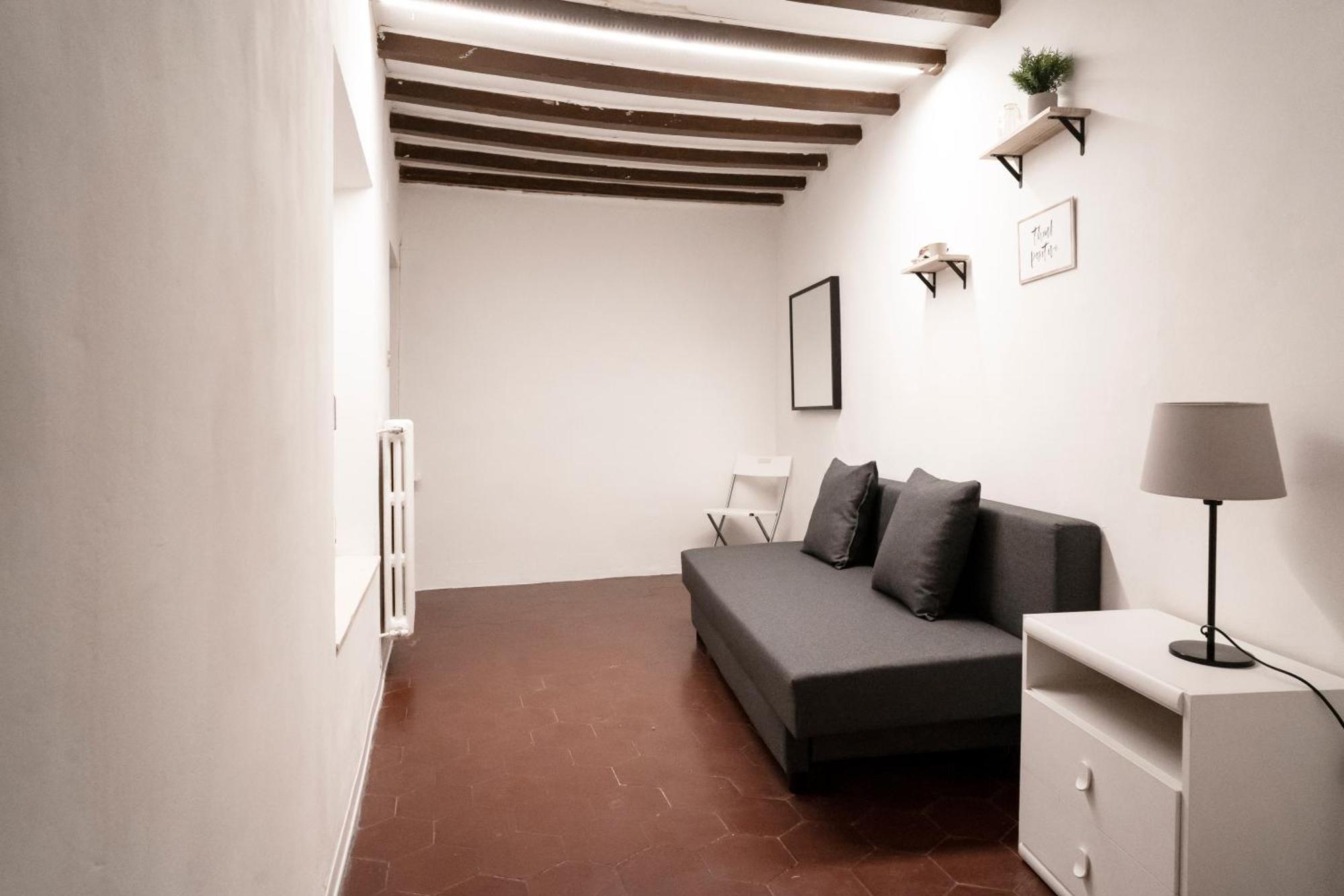 Apartment Pitti13