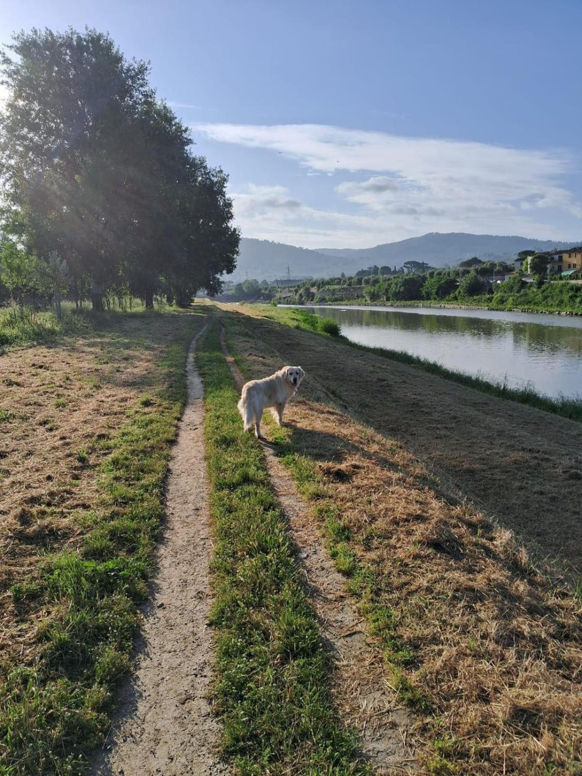 Apartment Comodo Appartamento Con 2 Giardini E Vasca Idromassaggio *