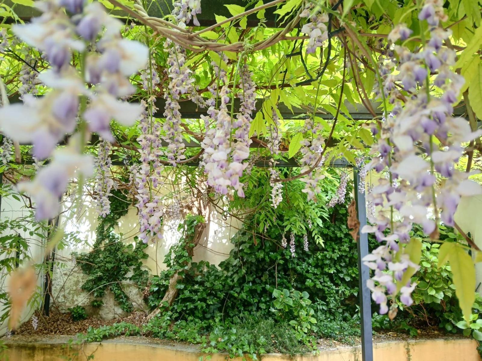 Casa Il Patio