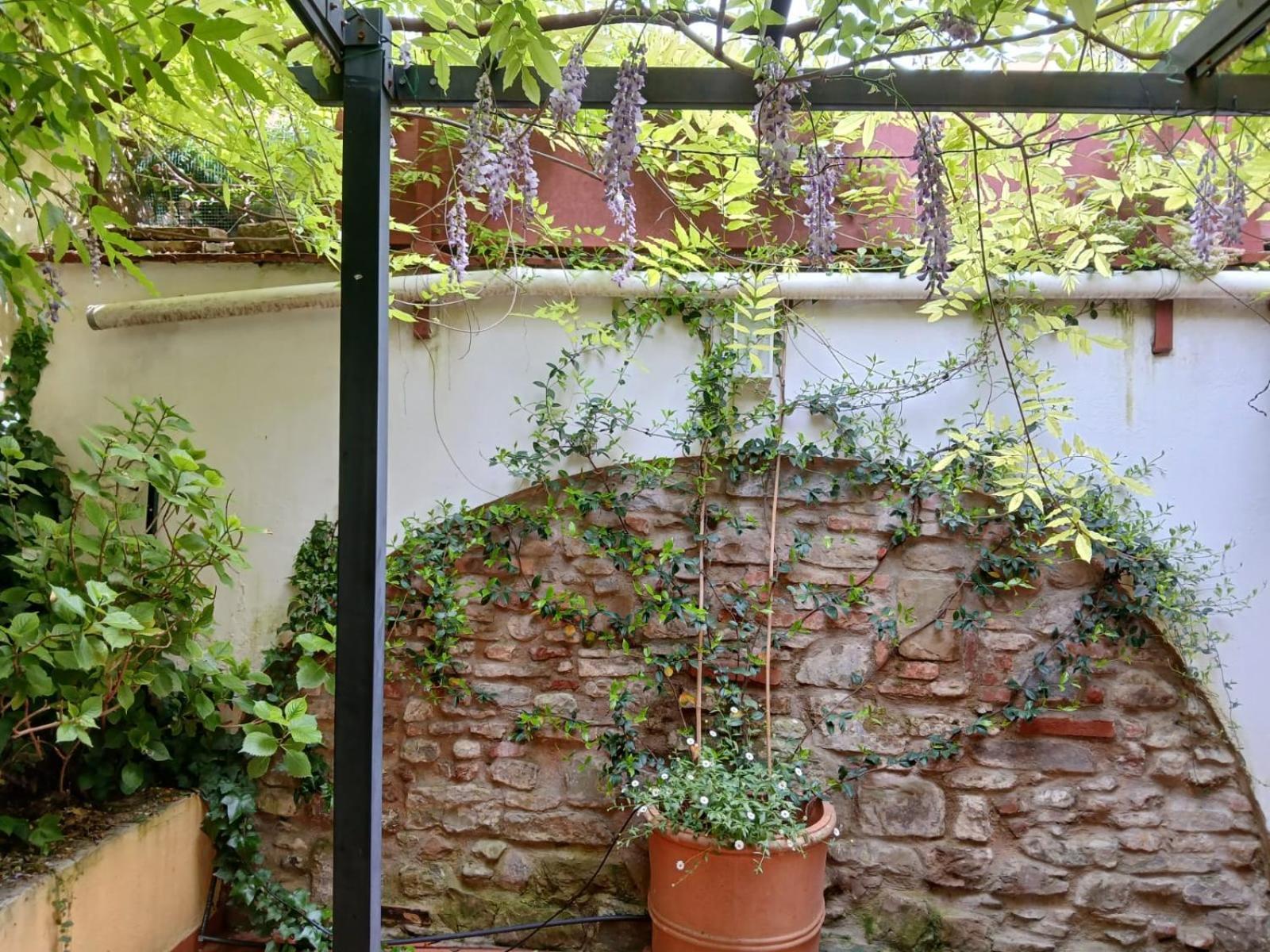 Casa Il Patio * Florence