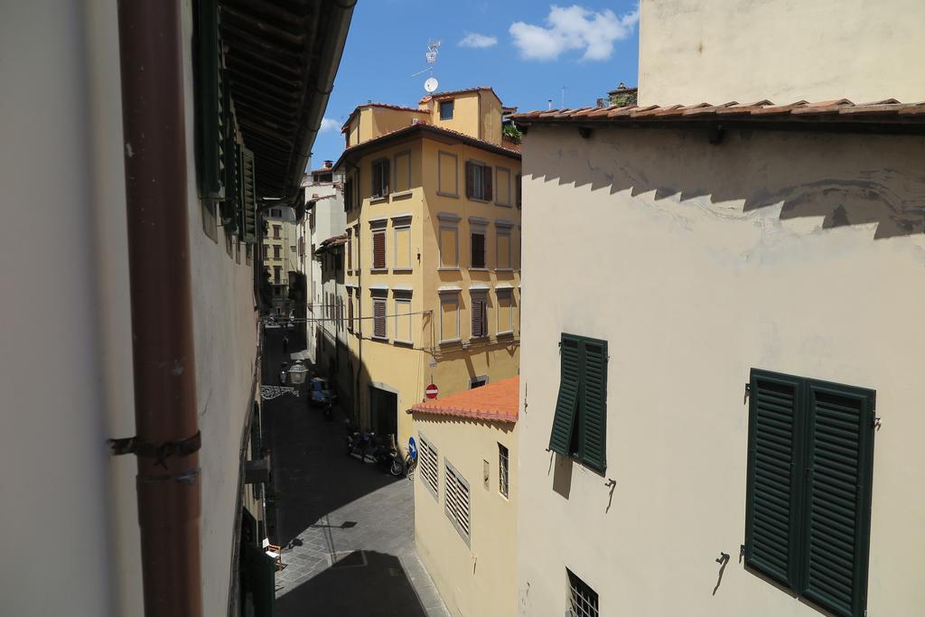 Wine Trebbiano *