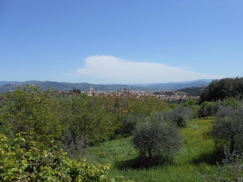 Relaxing Place In Oltrarno