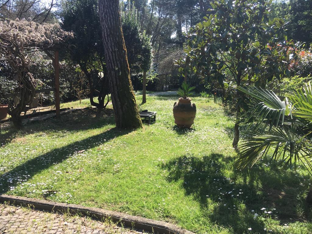 Old Town In The Green: Federico's Apartment. Florence