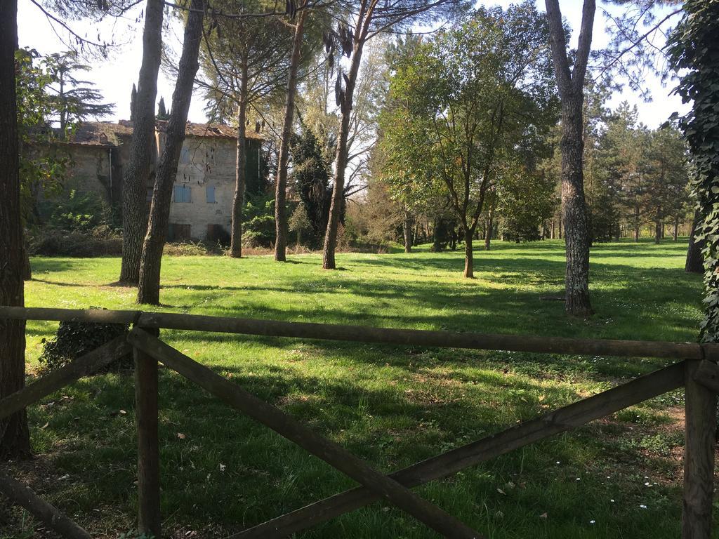 Old Town In The Green: Federico's Apartment. Apartment *