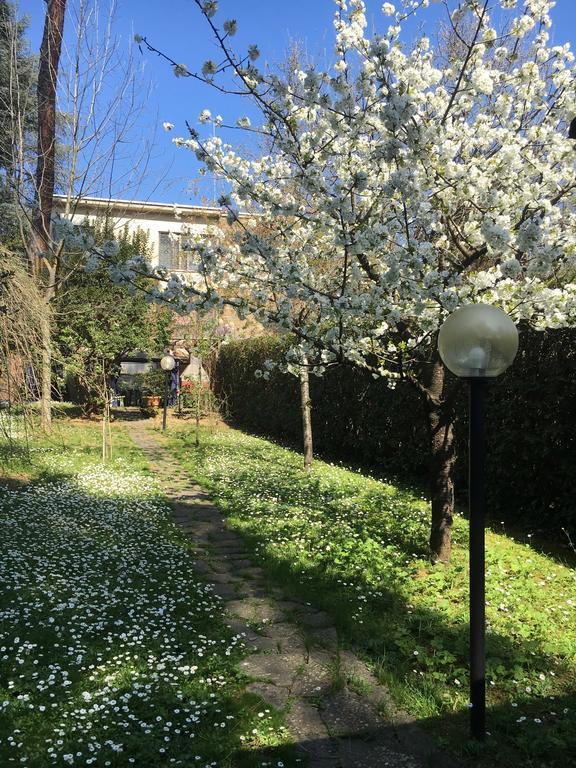 Old Town In The Green: Federico's Apartment. * Florence