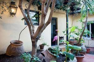 Casa Pucci 3* Florence