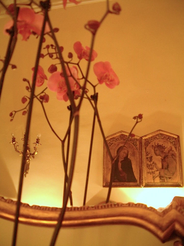 Hotel Cestelli *