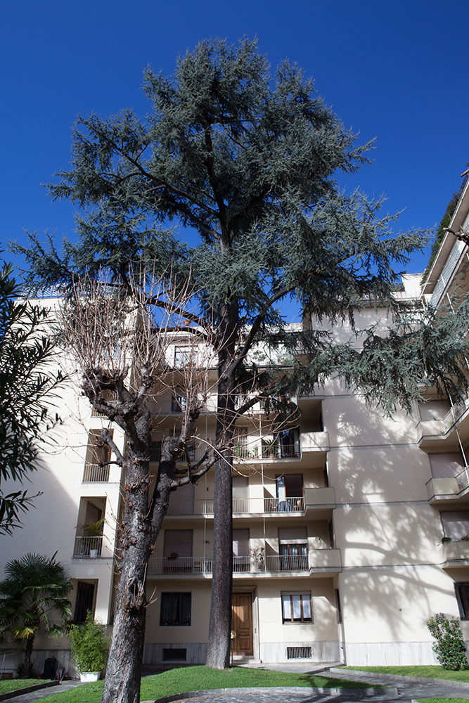 Verdi Appartamento Firenze