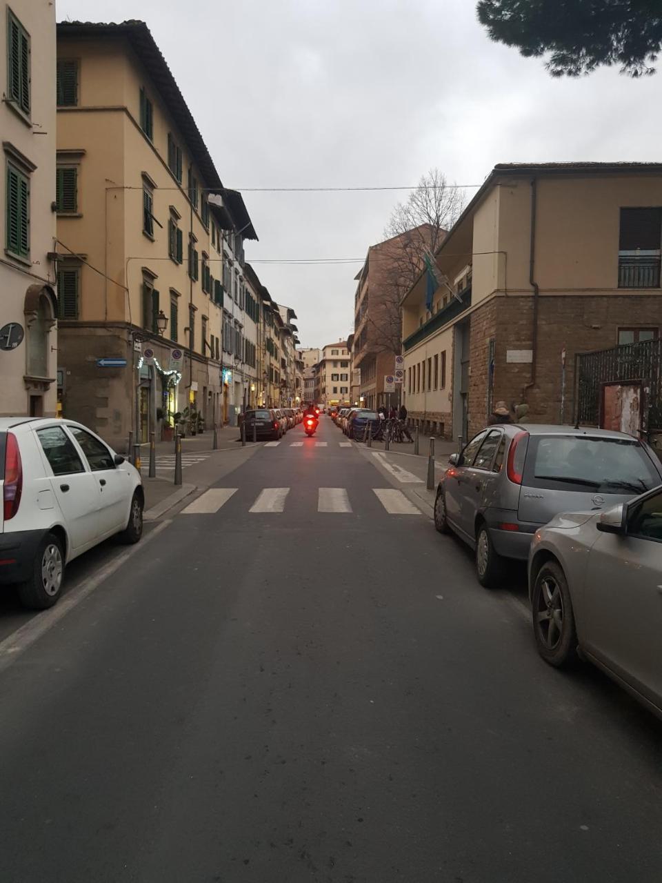 Zeus Superior Firenze