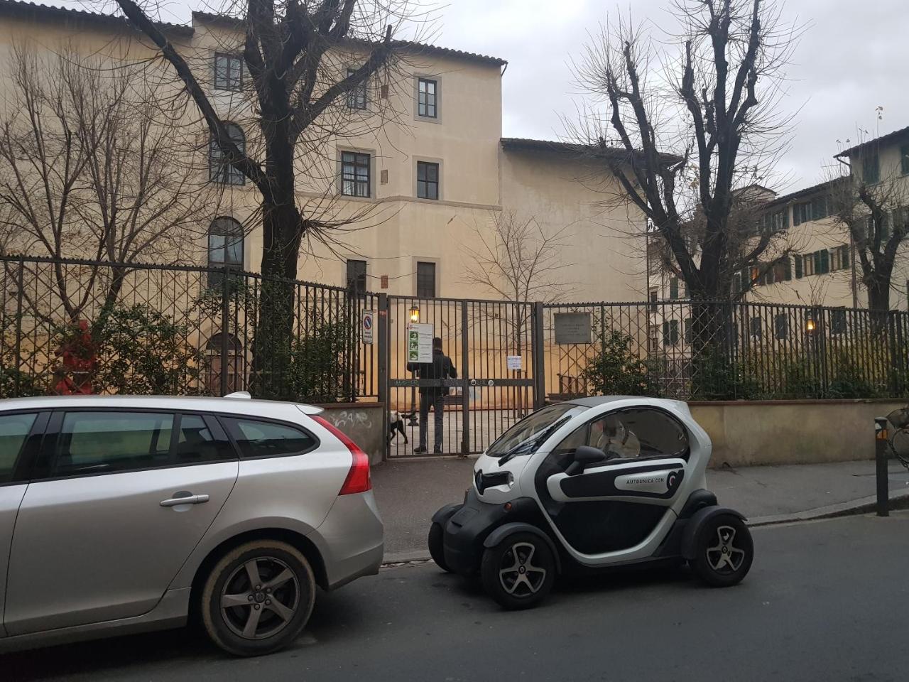Zeus Superior *