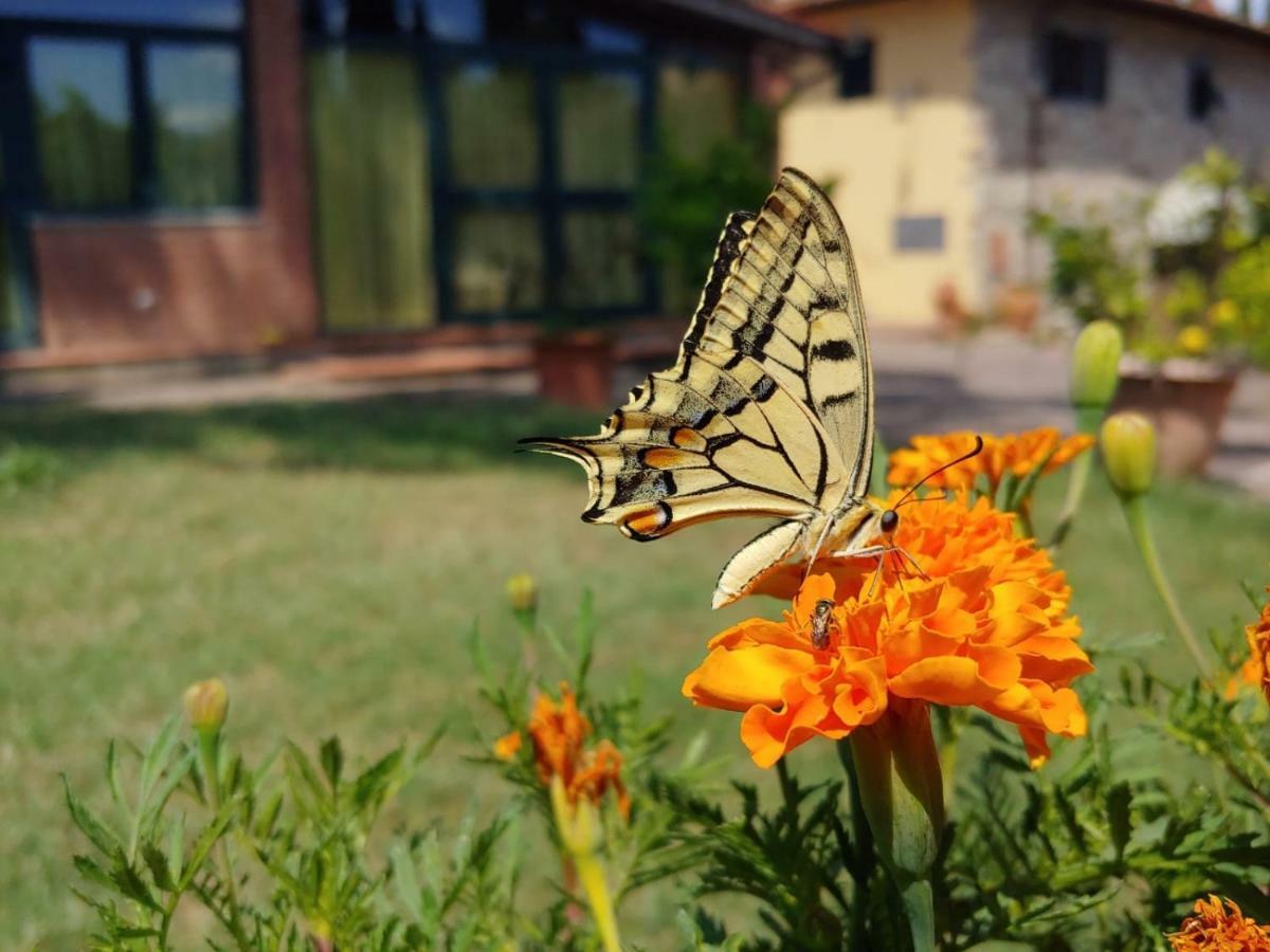 La Fattoressa Alloggio per agriturismo *