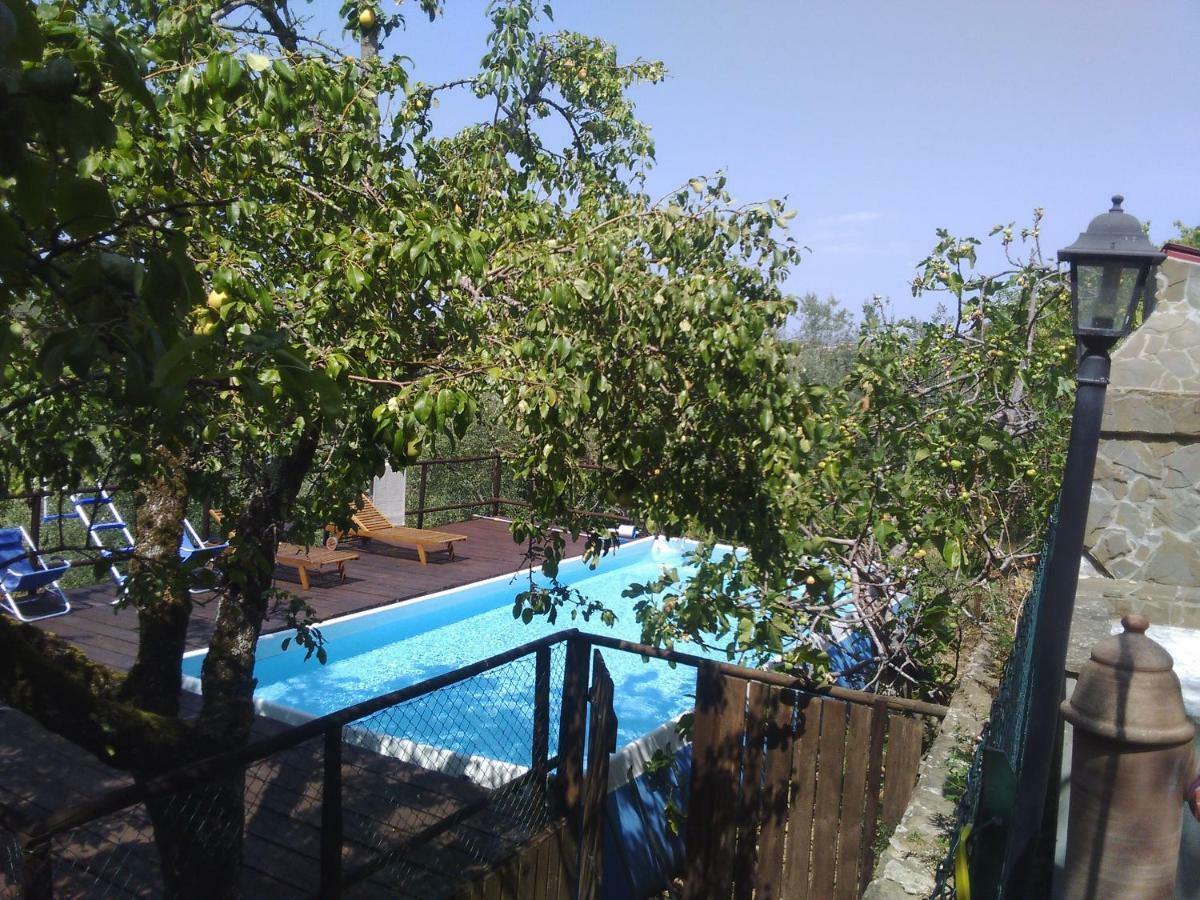Casa di campagna Country House Near Firenze