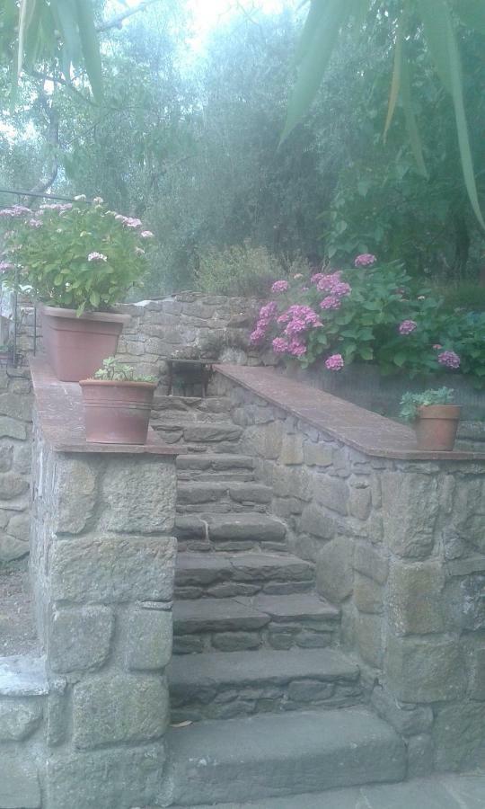 Country House Near Firenze