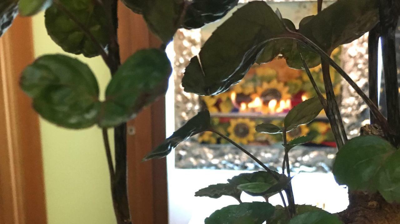 La Maison De Fuecopared Appartamento