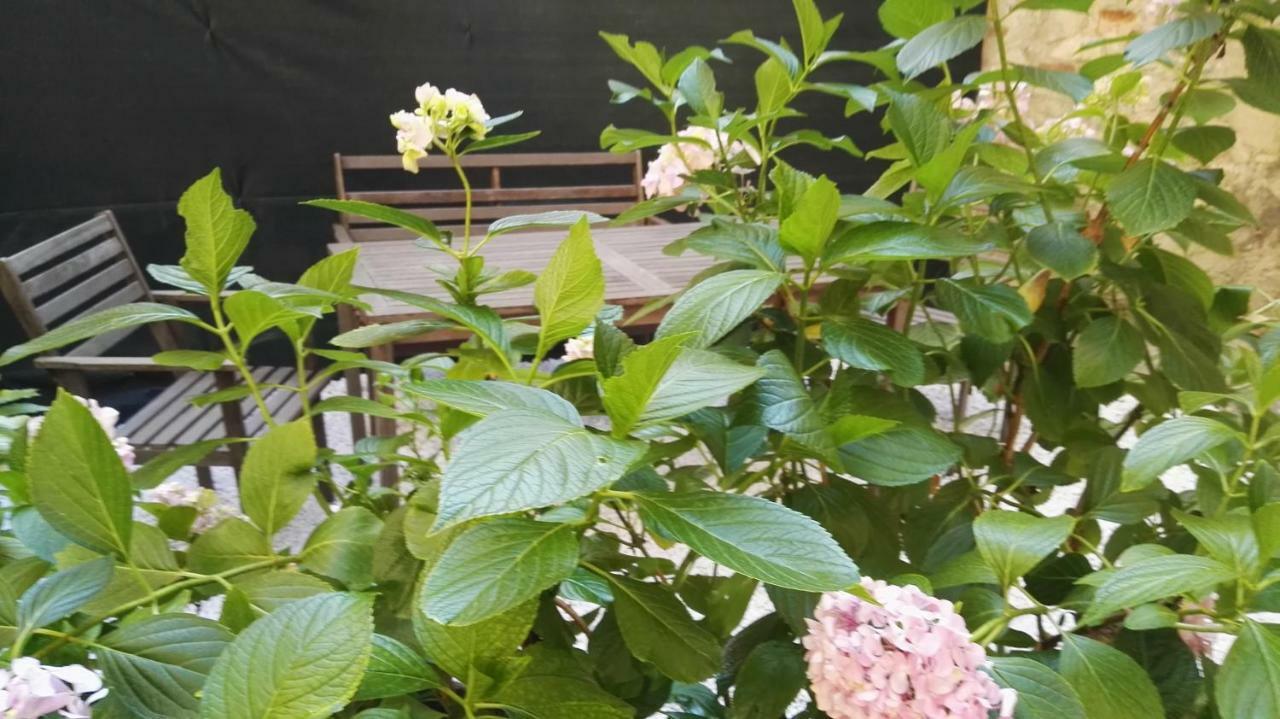 Appartamento Casa Deva *