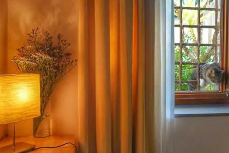 Perfect Location In Center Firenze
