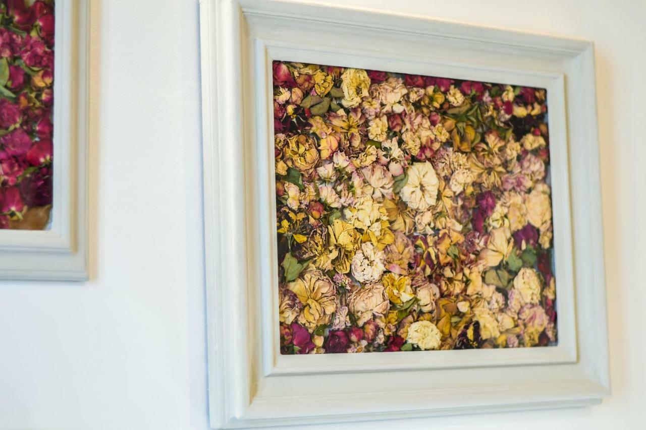 Oltrarno's Sweet Rose - Free Parking! Apartment