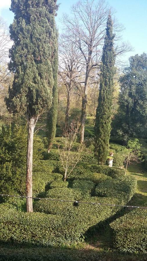 Appartamento L'albero Di Garibaldi Firenze