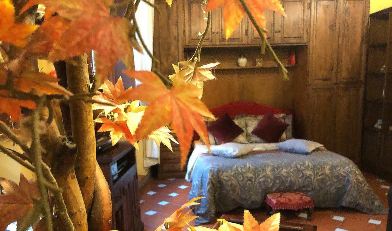 Appartamento Cozy In Position *