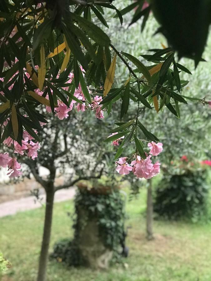 La Casa Di Claudia Firenze