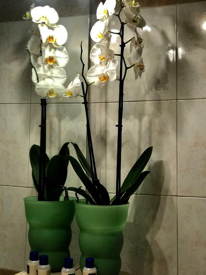 Cute Flat - Price - Wi Fi - Ac - Tv * Firenze