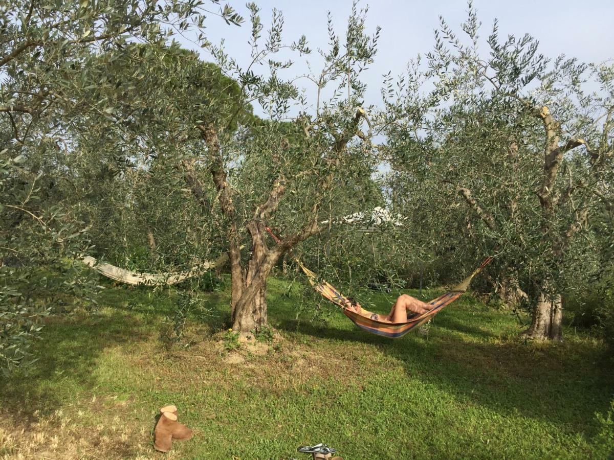 Tuscan Sun * Florence