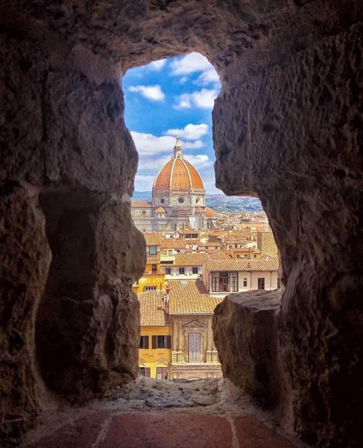 Violet 27 * Florence