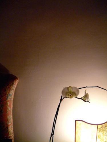 Hotel Cestelli Florence